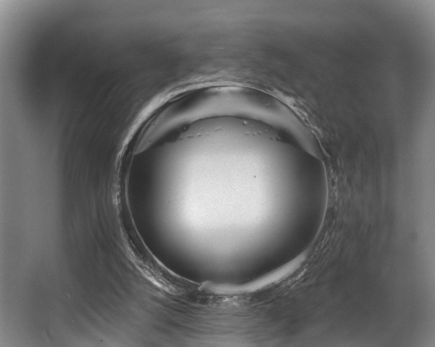 X0000068270056200604241308