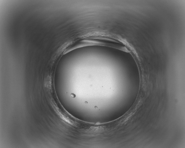 X0000068270057200604241308