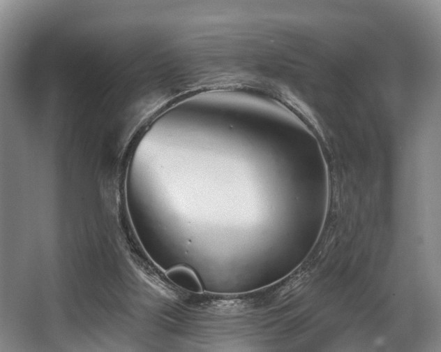 X0000068270059200604241308