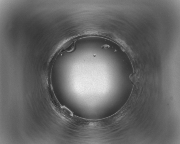 X0000068270060200604241308