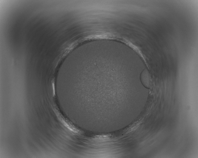 X0000068270061200604241308