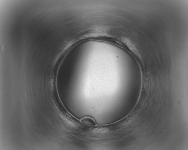 X0000068270063200604241308