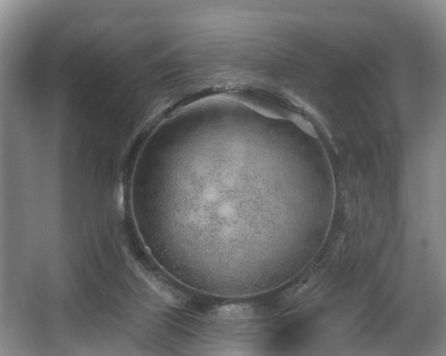 X0000068270067200604241309