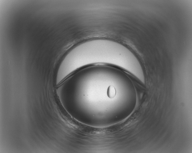 X0000068270068200604241309