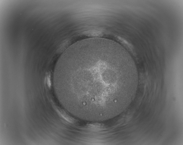 X0000068270069200604241309