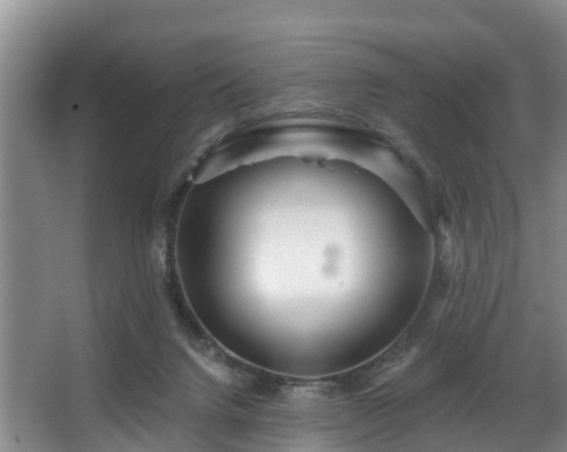 X0000068270072200604241309