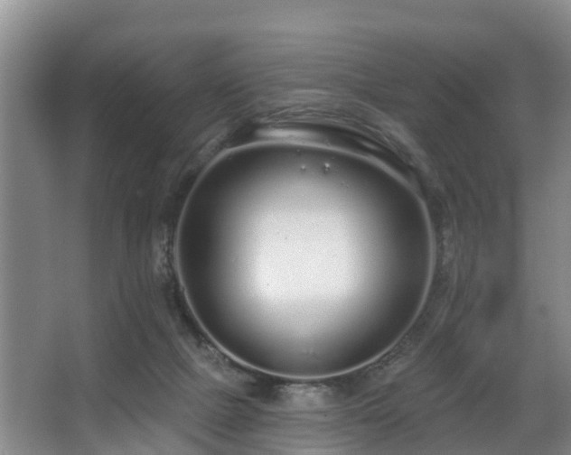 X0000068270073200604241309