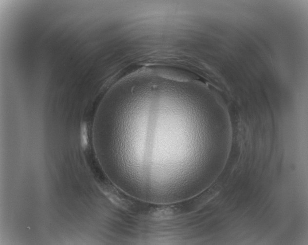 X0000068270075200604241309