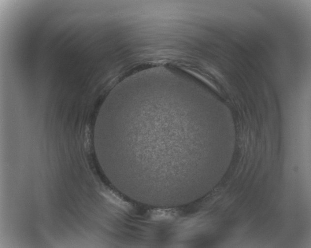 X0000068270077200604241309