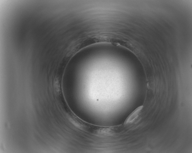 X0000068270086200604241309