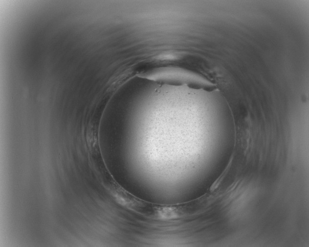 X0000068270091200604241309