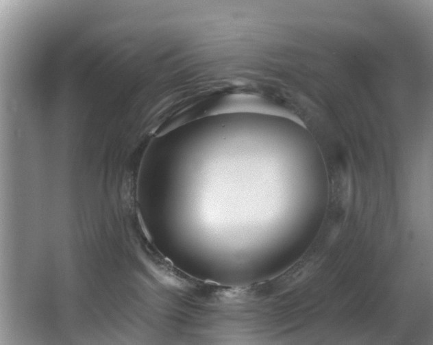 X0000068270092200604241309