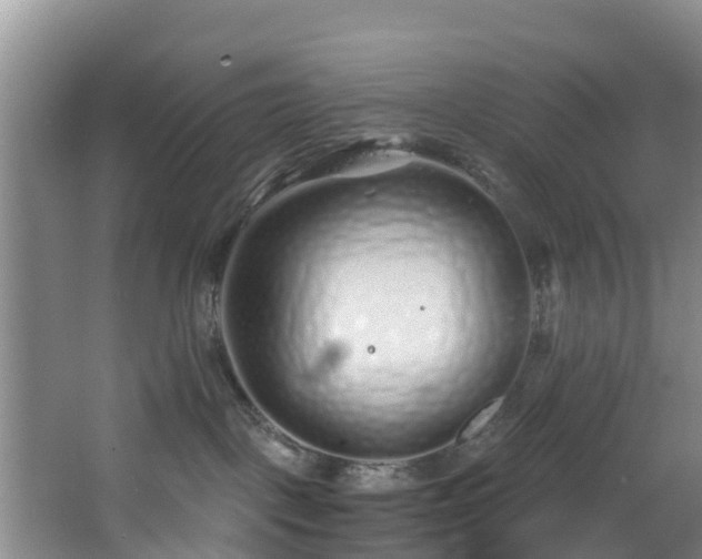 X0000068270093200604241309