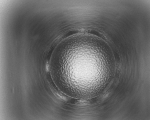 X0000068270095200604241309