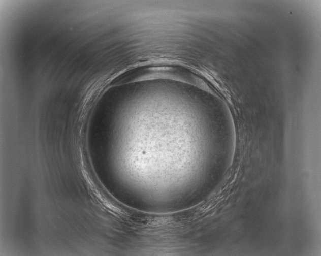 X0000068270097200604241308