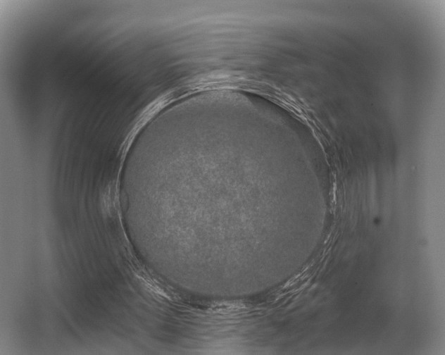 X0000068270099200604241308