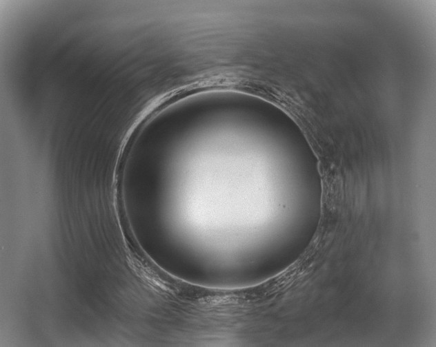 X0000068270100200604241308