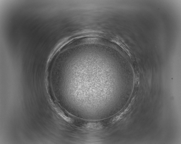 X0000068270101200604241308