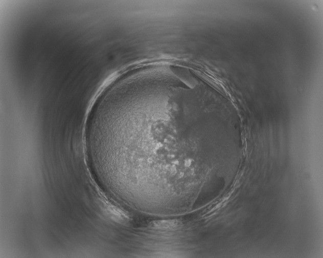 X0000068270102200604241308