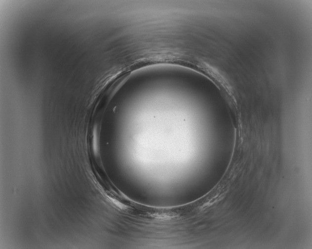 X0000068270105200604241308