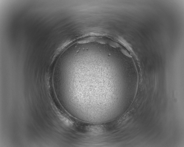 X0000068270106200604241308