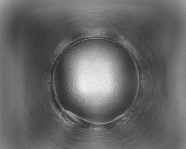 X0000068270107200604241308