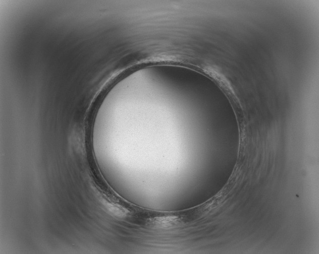 X0000068270108200604241308