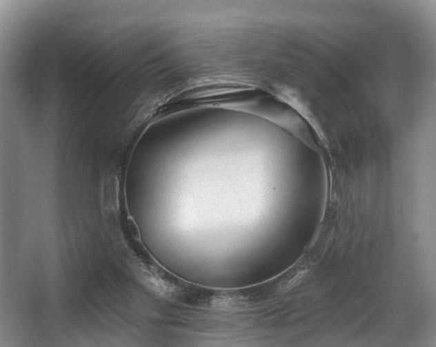 X0000068270109200604241308