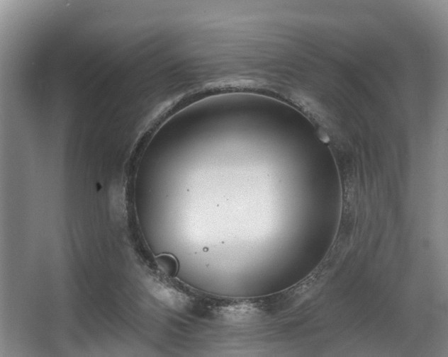 X0000068270112200604241308