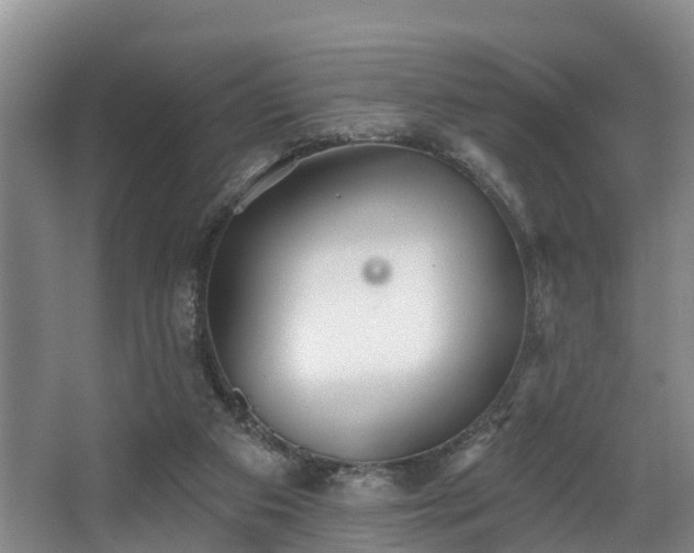 X0000068270113200604241308