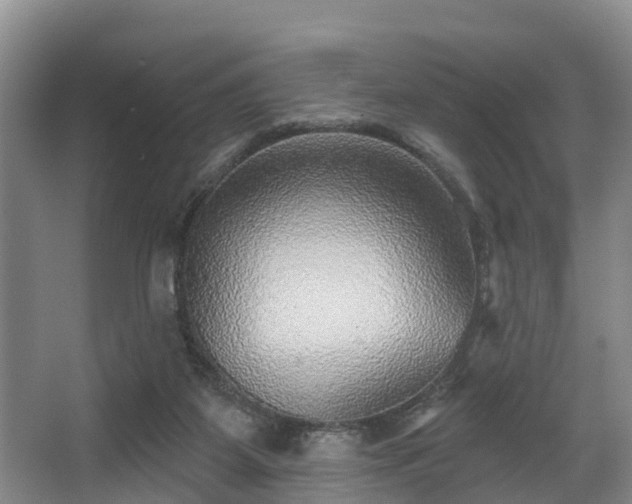 X0000068270115200604241308