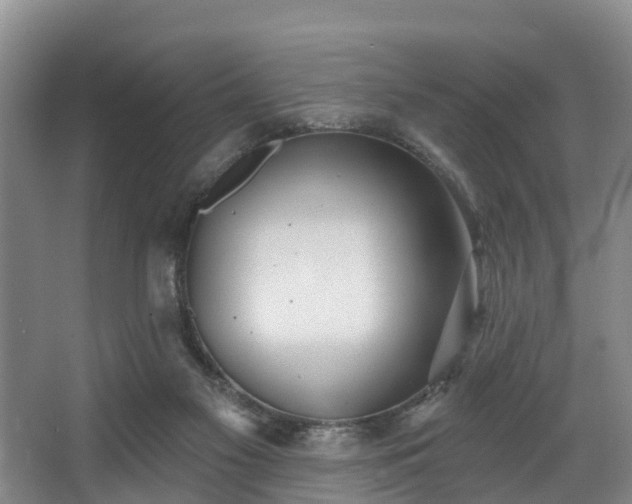 X0000068270117200604241308