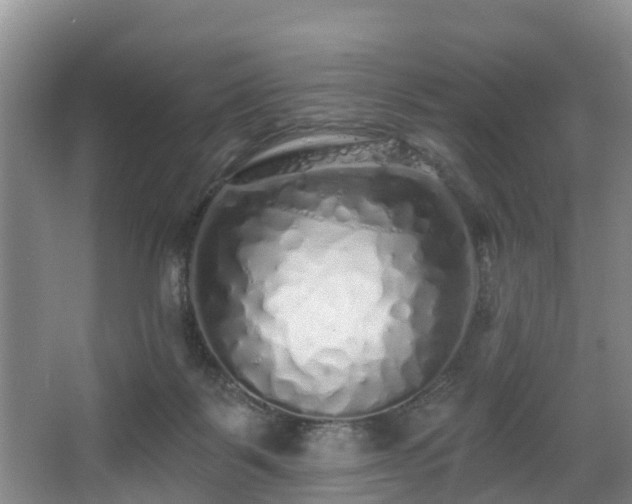 X0000068270123200604241308