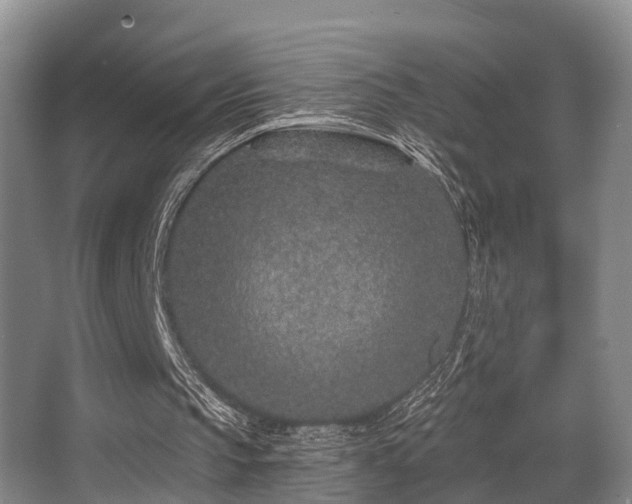 X0000068270145200604241307