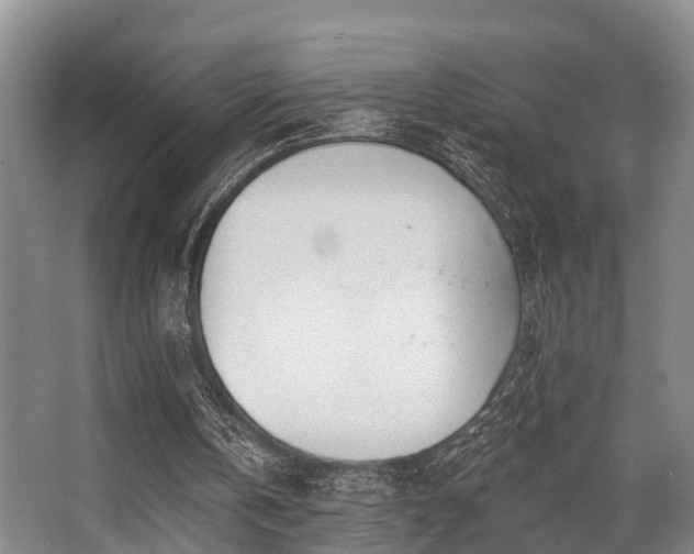 X0000068270146200604241307