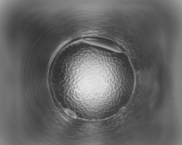 X0000068270147200604241307