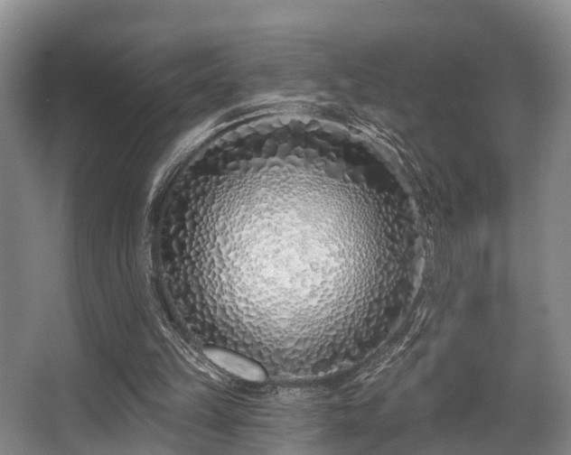 X0000068270149200604241307