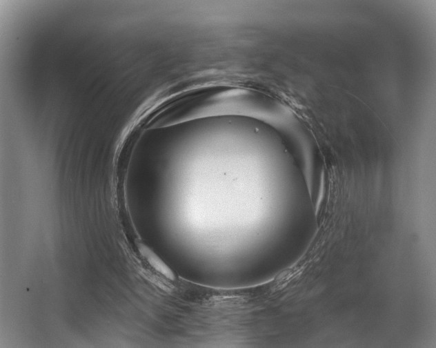 X0000068270150200604241307