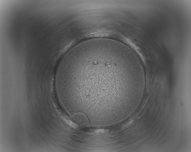 X0000068270153200604241307