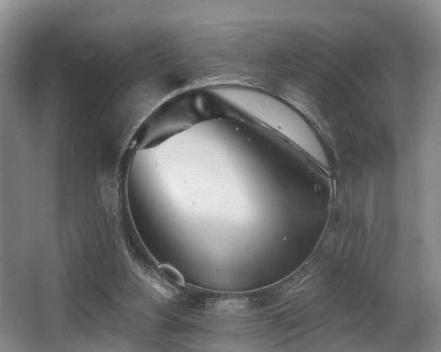 X0000068270156200604241307