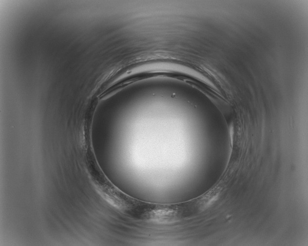 X0000068270158200604241307