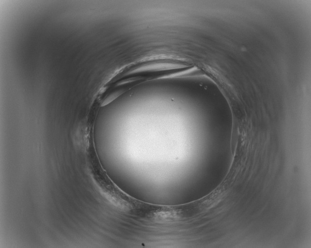 X0000068270160200604241307