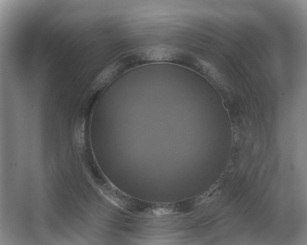 X0000068270163200604241307