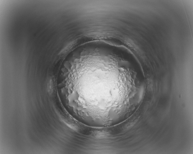 X0000068270165200604241307