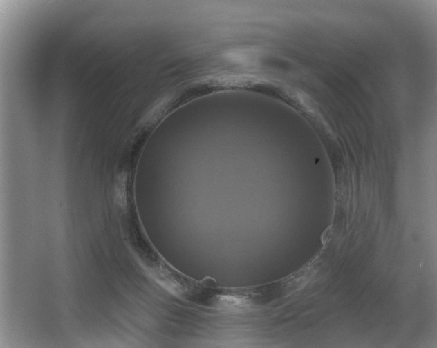 X0000068270167200604241307