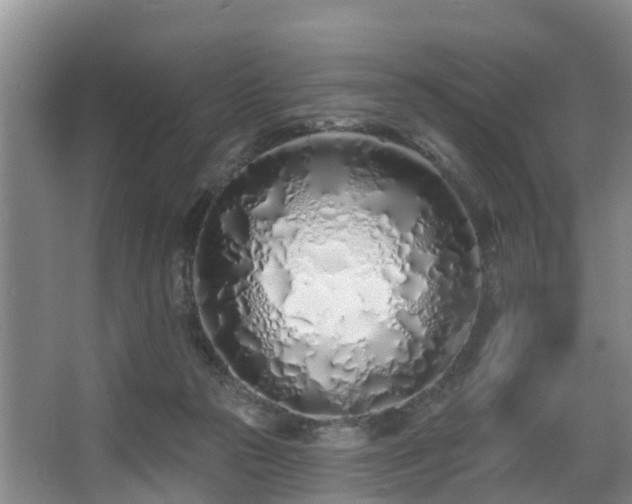 X0000068270169200604241307