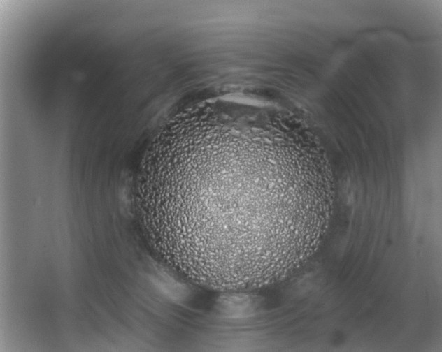 X0000068270181200604241307