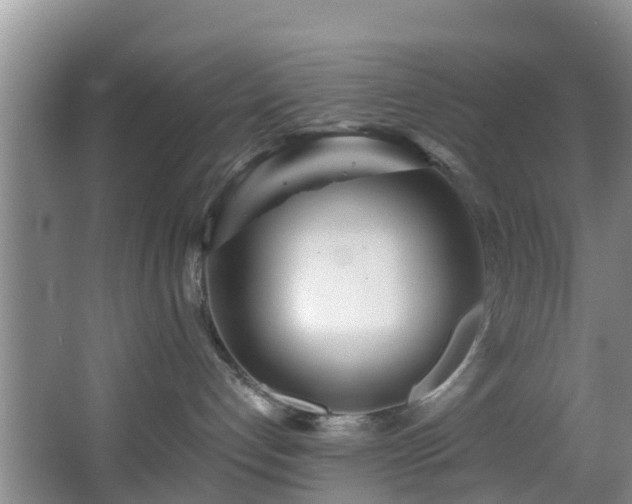 X0000068270192200604241307