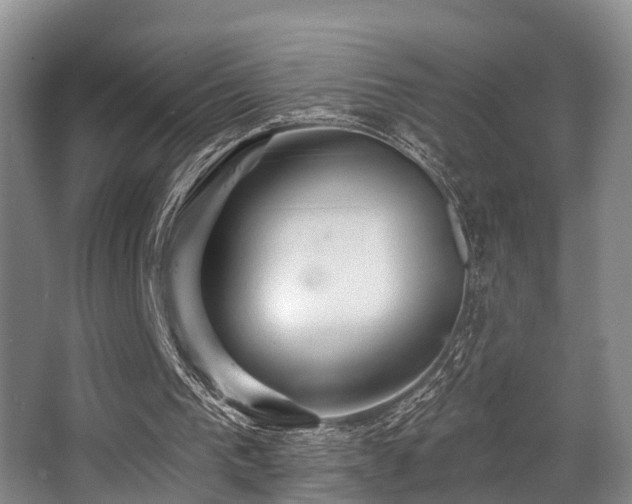 X0000068270193200604241307