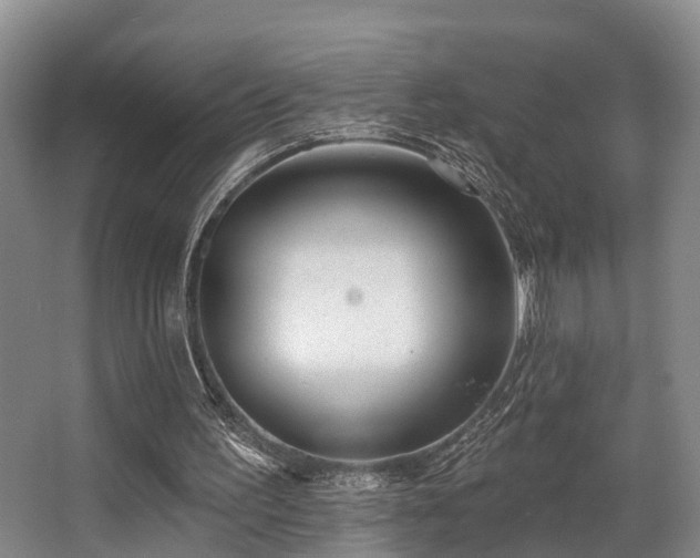 X0000068270195200604241307